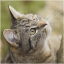 RubyGems profile picture for @debugger