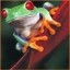 RubyGems profile picture for @twitter